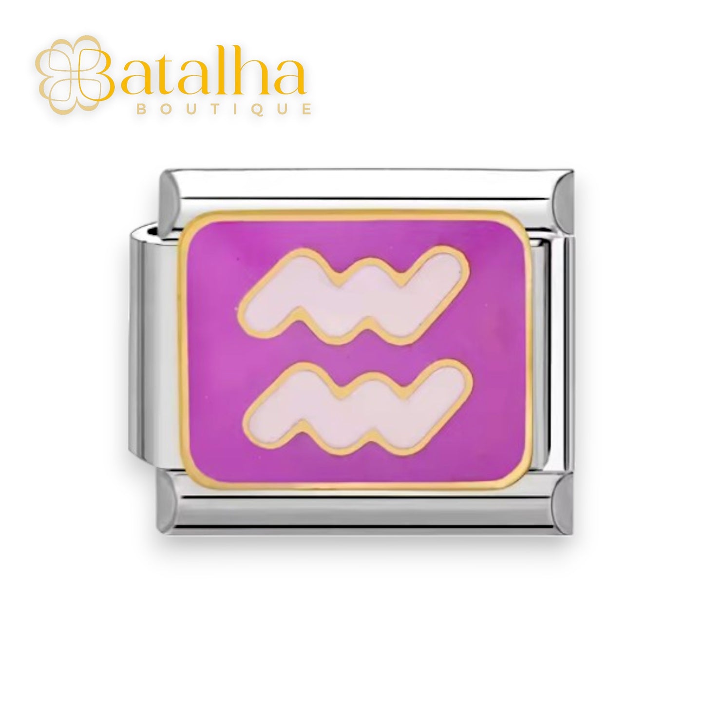 Zodiac Signs Charms