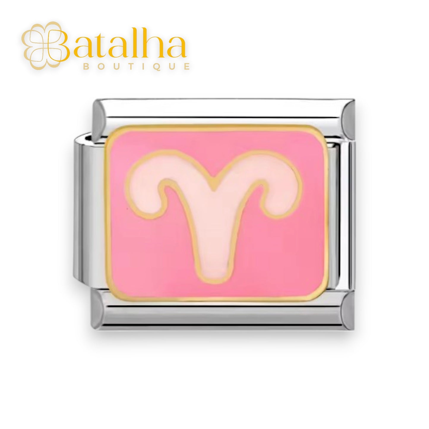 Zodiac Signs Charms
