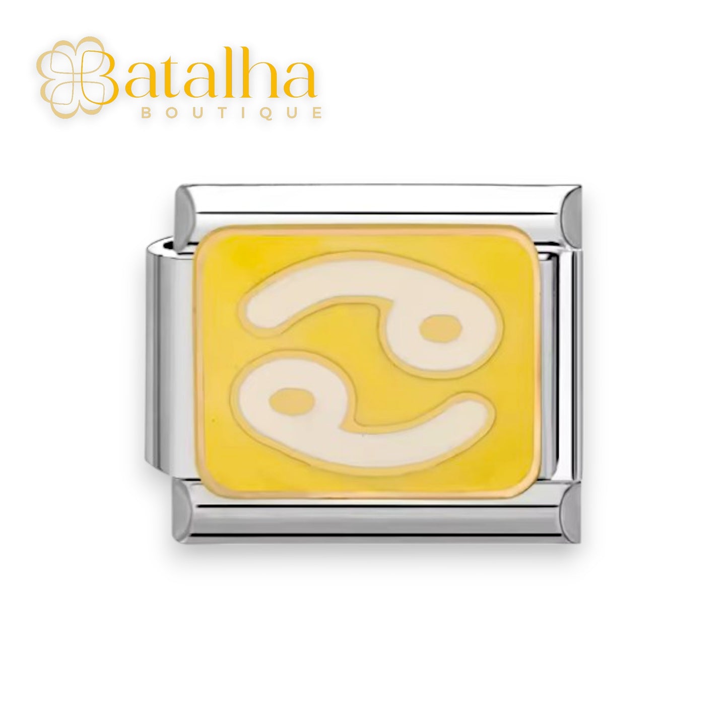Zodiac Signs Charms