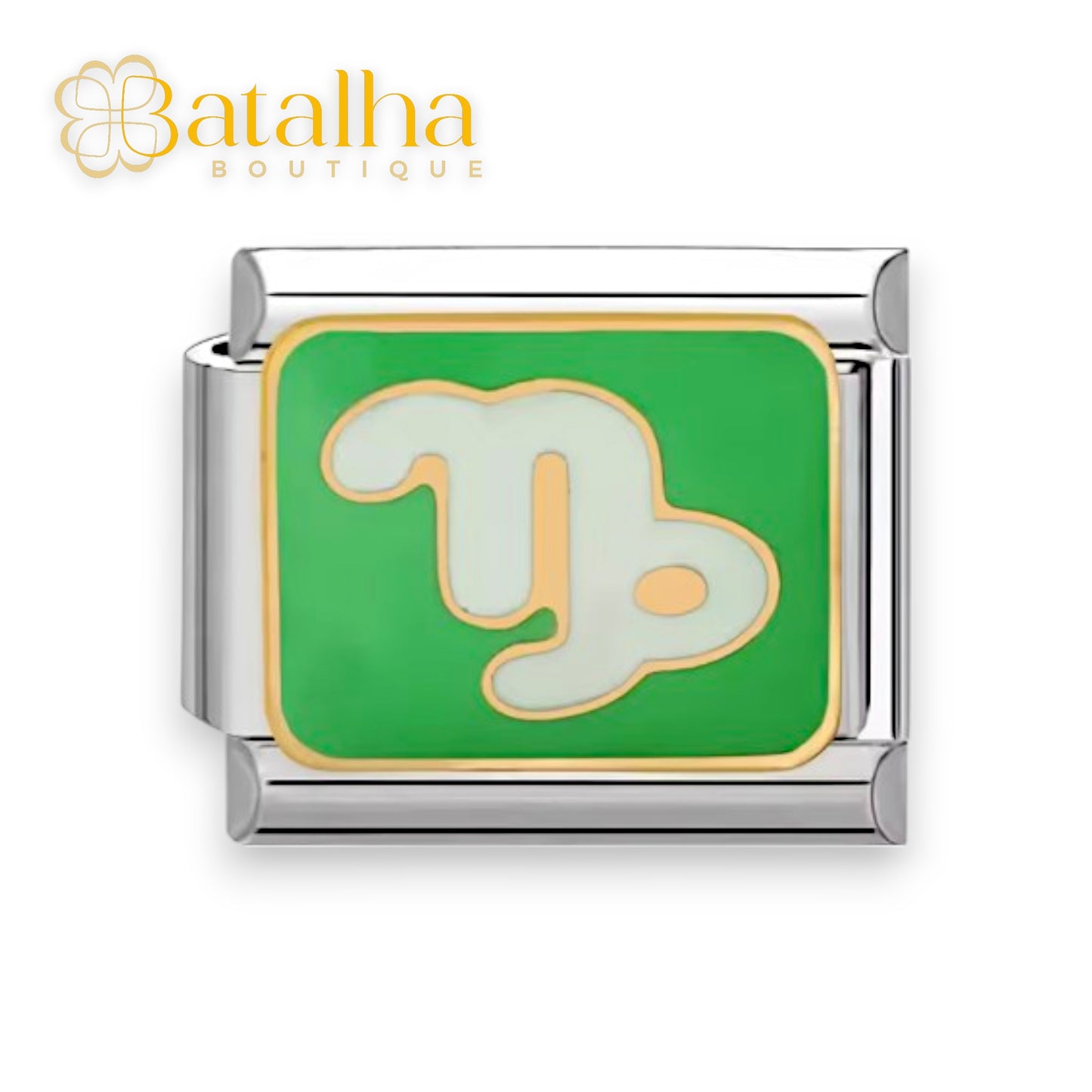 Zodiac Signs Charms