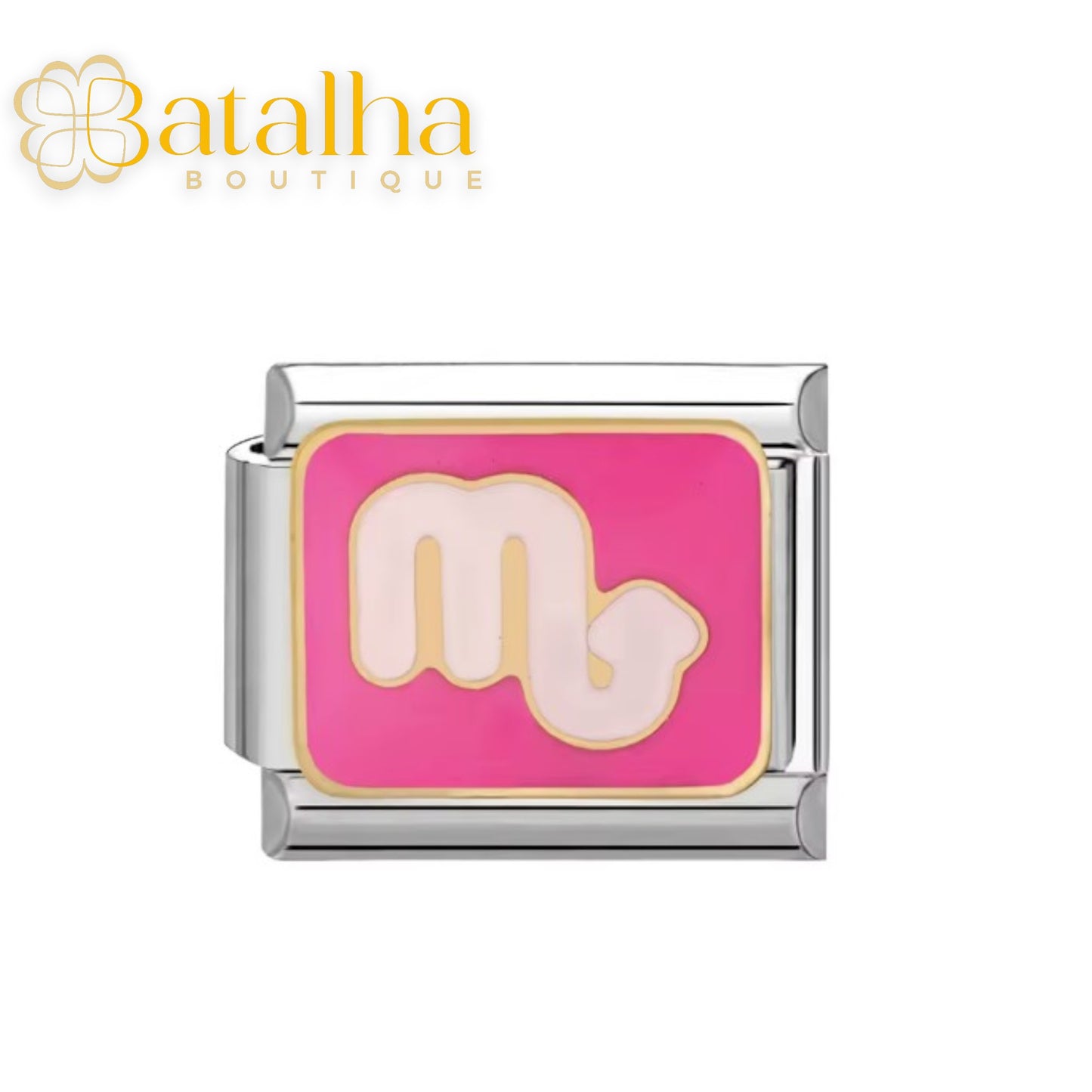 Zodiac Signs Charms