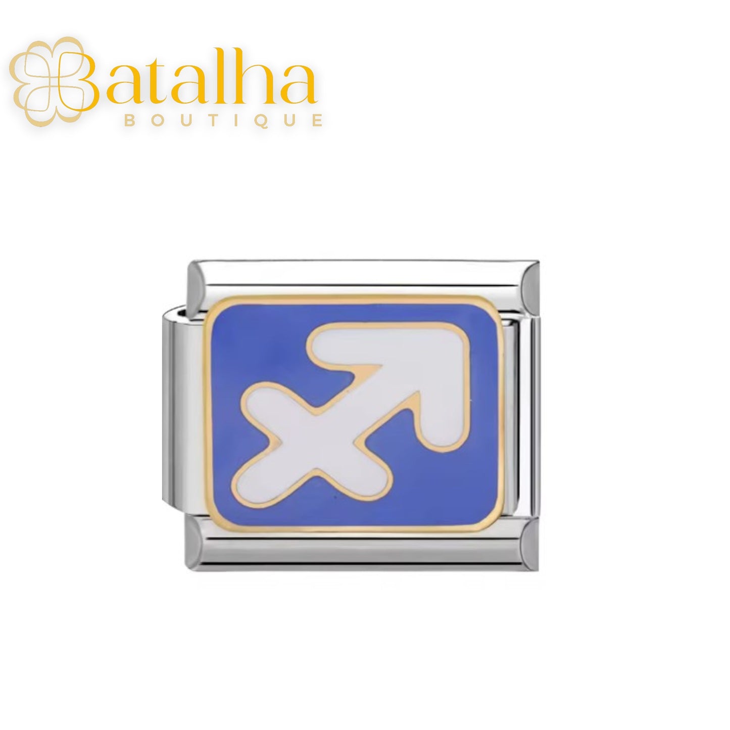 Zodiac Signs Charms