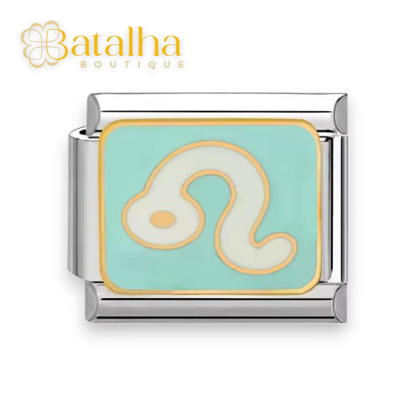 Zodiac Signs Charms