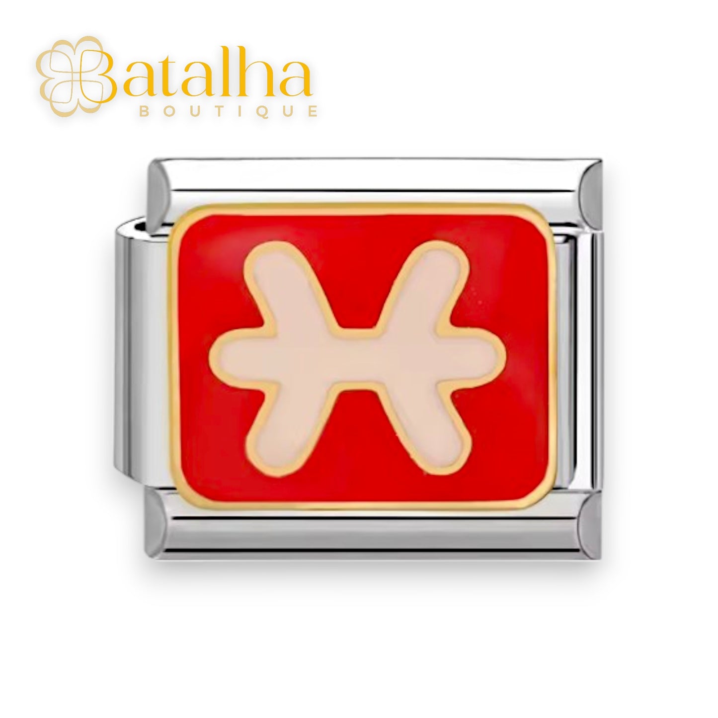 Zodiac Signs Charms